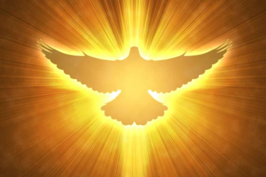 تمثل الروح القدس حمامة في المسيحية